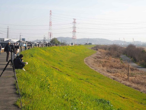 20230312ヨシ焼き (5)