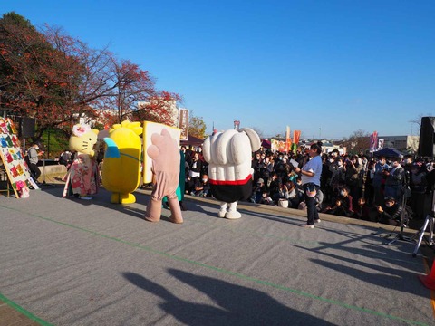20221127はにコット (82)