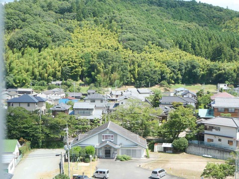 20240818園田城 (74)