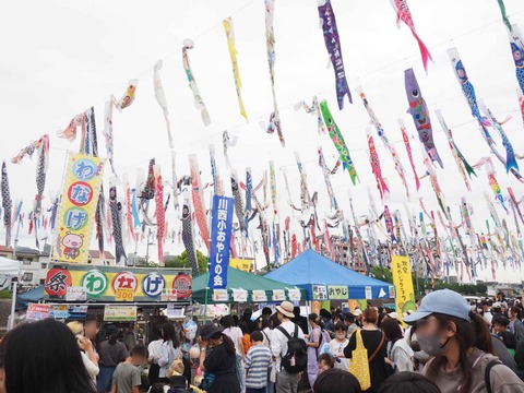 20240429こいのぼりフェスタ (3)