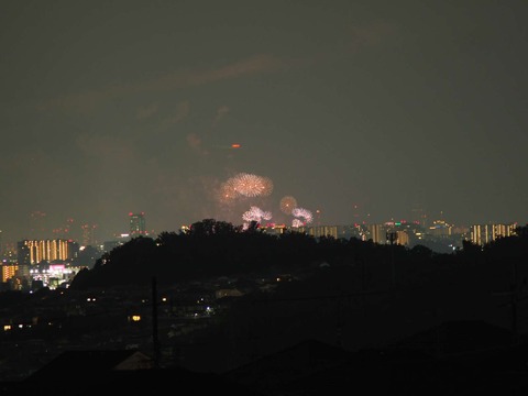20220827なにわ淀川花火 (42)
