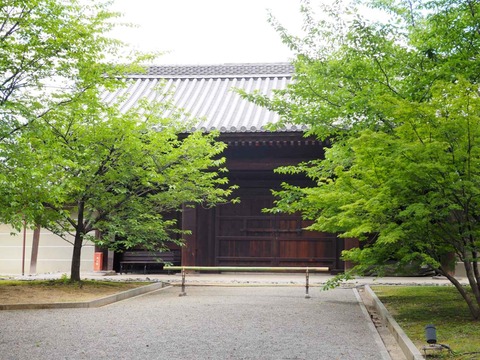 20230616東寺 (67)