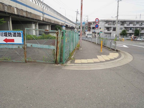 20220618大蔵司堤防 (13)