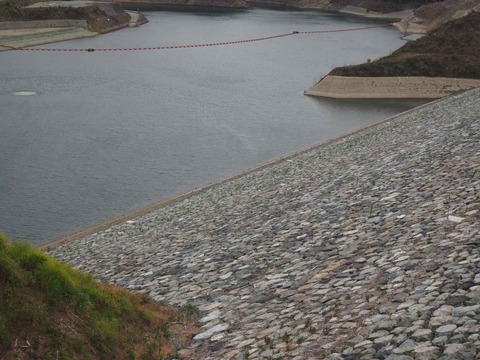 20230814安威川ダム (6)