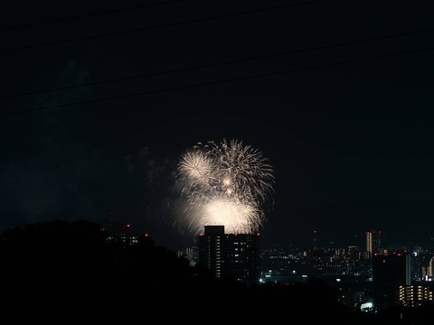 20240815くらわんか花火 (13)