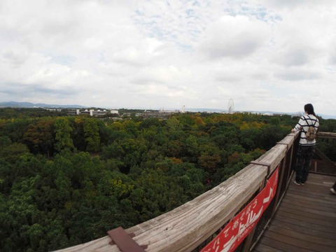 20221022万博記念公園 (59)