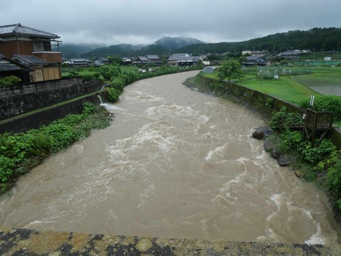 20260626芥川 (1)