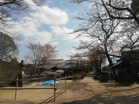 sk_hara_20190404_2