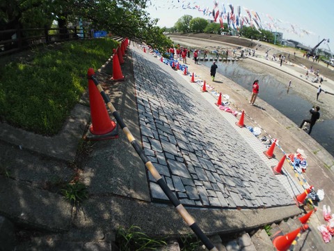 20250426こいのぼり (11)