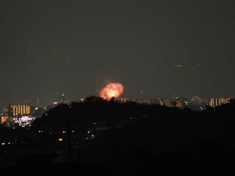 20220827なにわ淀川花火 (109)