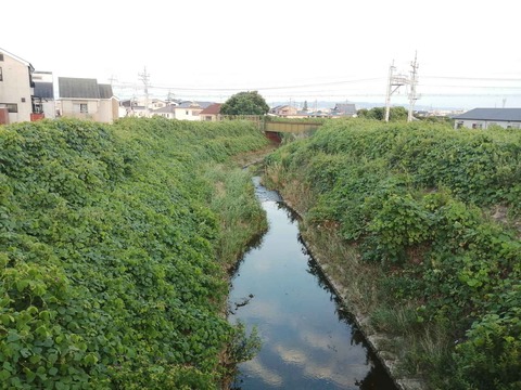 20240719如是川クズ (3)