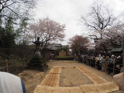 20240407大蛇祭り (73)