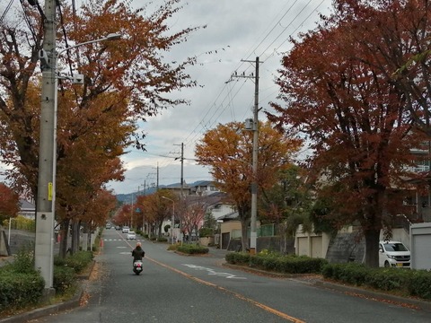 20211114寺谷紅葉 (3)