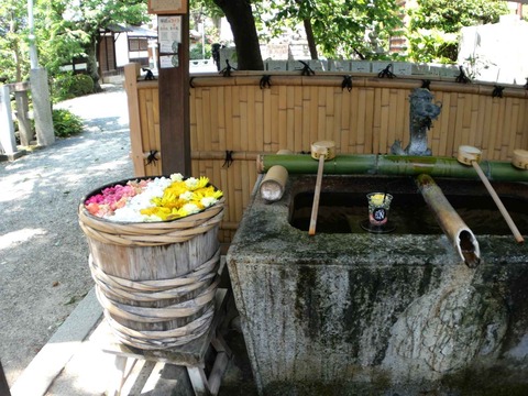 20240721野見神社 (2)