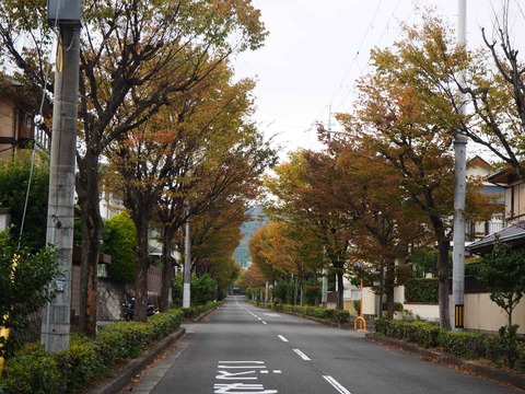 202110紅葉 (19)
