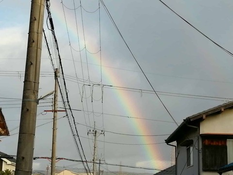 20241124虹 (1)