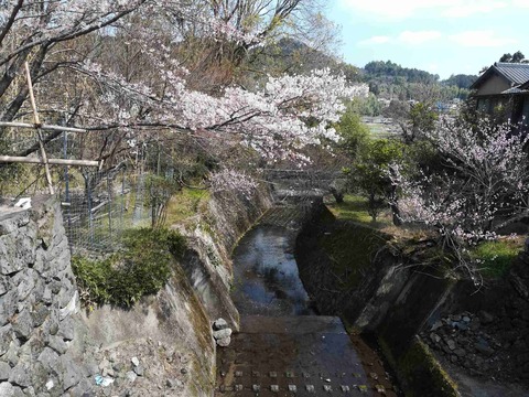 sk_hara_20190404_5