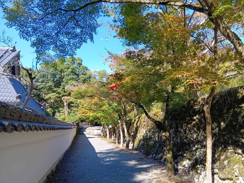 20251029神峯山寺 (6)