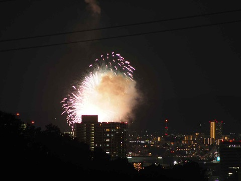 20220904くらわんか花火 (14)