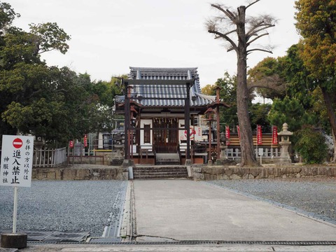 20240407神服神社 (2)