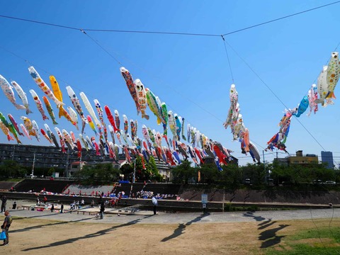 20250426こいのぼり (15)