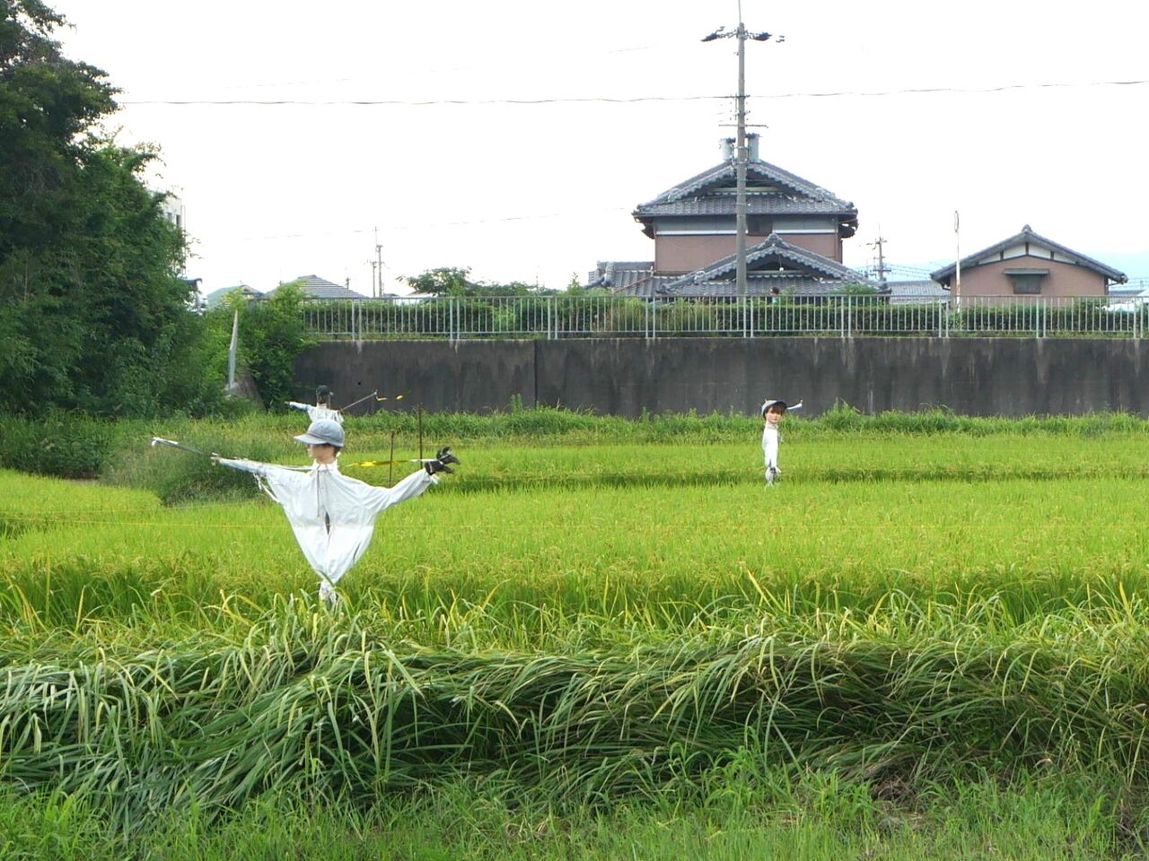 高槻のかかし 萩の庄・塚脇で見かけたかかし 2024年 : 高槻Network新聞