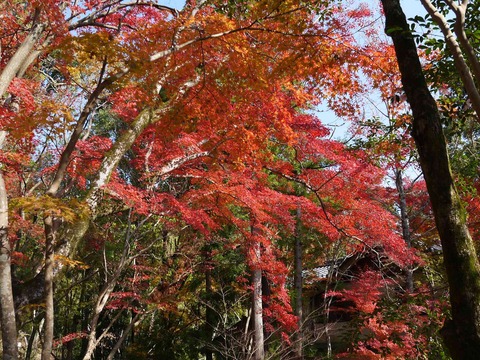 kabuzan20181127_12