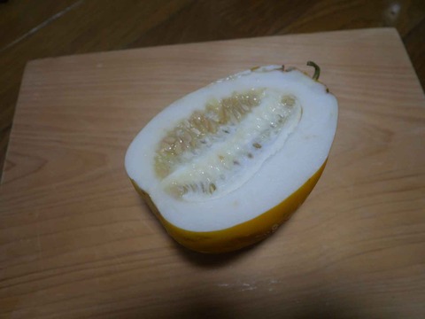 20240629マクワウリ (2)