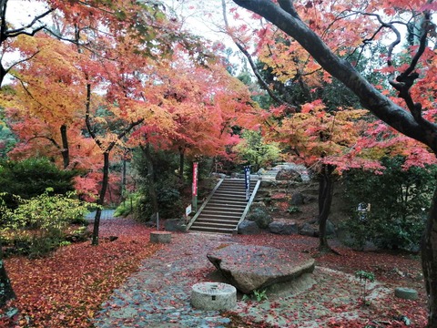 20221123大門寺 (6)