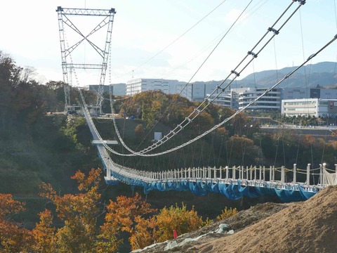 20241207吊り橋 (13)