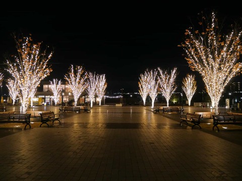 20241130安満関公園 (10)