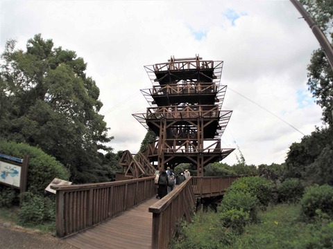 20221022万博記念公園 (72)