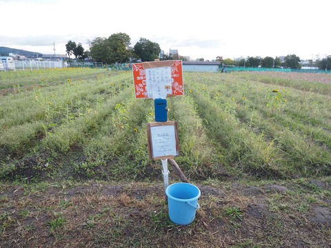 20231111郡家新町 (6)