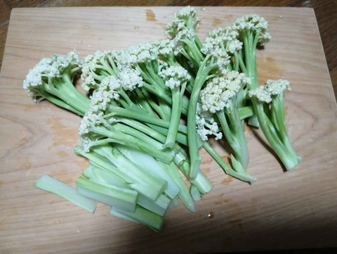 20231217カリフローレ (2)