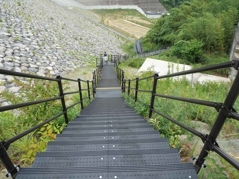 20240819安威川ダム (50)