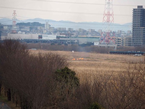 20220213ヨシ焼き (14)