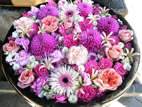 20241006野見神社 (3)