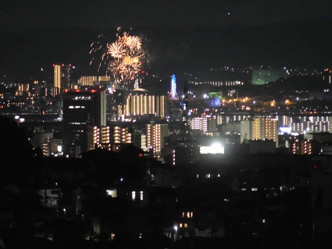 20260517五六花火 (31)
