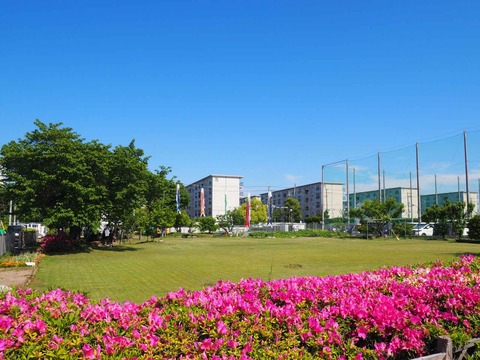 牧田町こいのぼり (1)