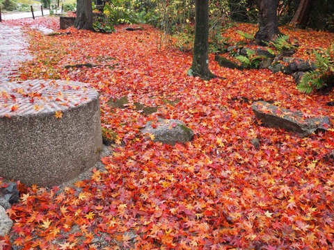 20221123大門寺 (2)