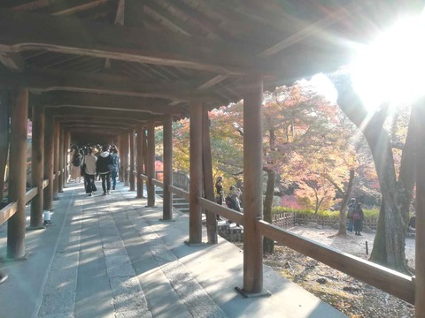 20211120東福寺 (7)
