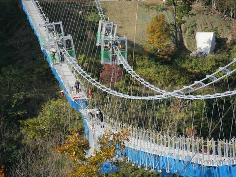 20241130吊り橋 (9)