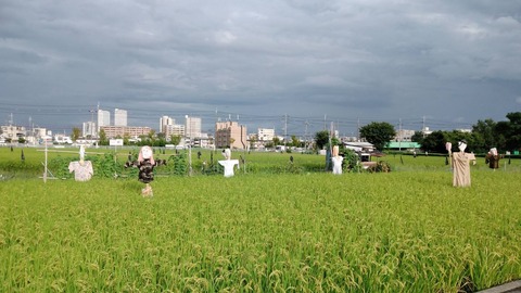 20230912郡家新町 (1)