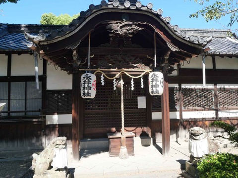 20241013野見神社 (4)