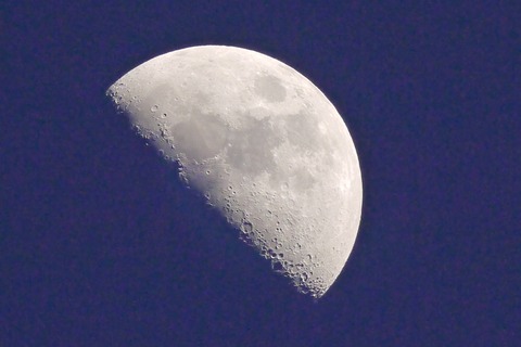 20201222doseimokusei4