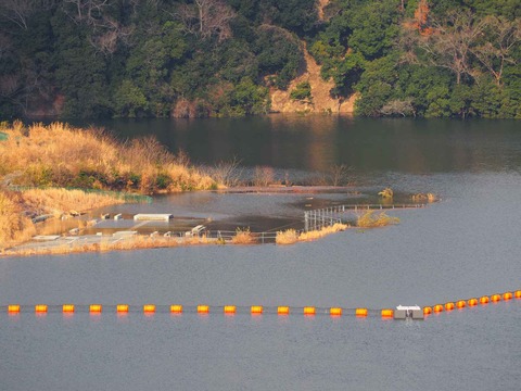 20230223安威川ダム (22)