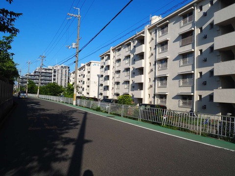 20240601富田道しるべ (1)
