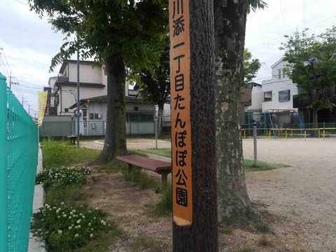 20220515川添たんぽぽ公園 (2)