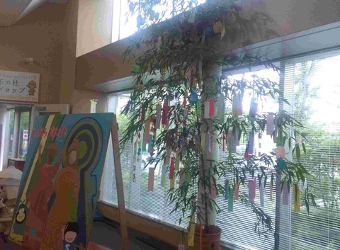 tanabata7a