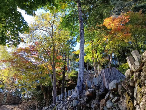 20251029神峯山寺 (20)